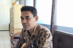 Optimis tercapai, Bulog Maluku serap beras petani lokal 1.250,617 ton hingga Juni 2025