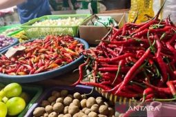 Harga pangan Sabtu ini, bawang merah Rp39.798/kg dan cabai rawit Rp50.523/kg
