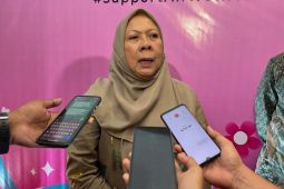 Wagub Sulteng ingatkan potensi kenaikan tiga penyakit menular