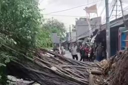Angin kencang sebabkan pohon tumbang di Rawa Buaya