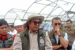 Wamenhut optimistis  Jambi mampu atasi karhutla