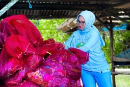 PLN galang aksi bersih pantai di Lombok Barat