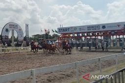 Ratusan kuda se-Indonesia berlaga dalam kejuaraan kuda balap di Bantul