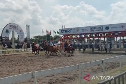 131 kuda se-Indonesia berlaga di kejuaraan kuda balap di Bantul