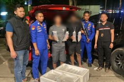 Polri menggagalkan penyelundupan 11.543 ekor BBL di Sukabumi