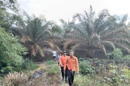 Seorang pemuda berkebutuhan khusus hilang di perkebunan sawit Bangka Barat