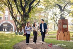 Mengapa harus belajar AI sekarang?