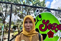 Pengumuman hasil seleksi PPPK tahap dua di Batang Hari belum keluar