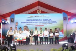 Mentan: Agripreneur Petani Muda SGN solusi tantangan produksi tebu