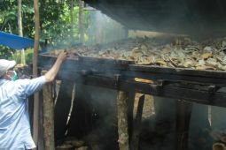 Senator Maluku Utara  kawal harga komoditas perkebunan tetap stabil
