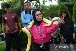 Eksibisi hewan eksotis di area Car Free Day