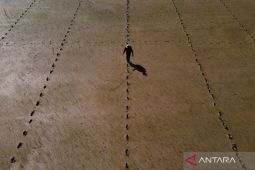 Kuota tambahan cetak sawaj baru di Konsel