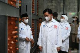 Wapres dukung inovasi dan digitalisasi sentra telur di Blitar