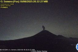 Semeru erupsi dengan tinggi letusan 800 meter