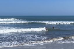 Seratusan peselancar berkompetisi untuk rawat ciri khas Pantai Kuta