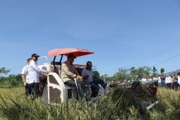 Wamentan dukung Pemkab Ngawi tingkatkan produktivitas pertanian