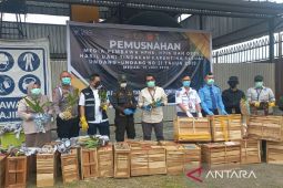 Balai Besar Karantina Sumut  musnahkan komoditi asal luar negeri