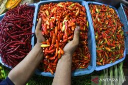 Harga pangan Kamis ini, bawang merah Rp43.413/kg dan cabai rawit Rp51.962/kg