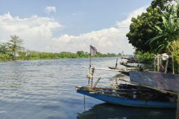 Waduh, Sungai Ciujung dan tambak warga di Serang tercemar limbah pabrik