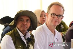 RI dan Inggris kolaborasi selamatkan gajah sumatera lewat PECI di Aceh Tengah