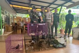Karantina Banten amankan pengiriman 334 burung tanpa dokumen