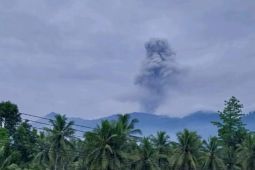 Gunung Dukono erupsi setinggi 1.550 meter