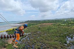 Wujud Kontribusi ke Negara, PLN Setor Rp65,59 Triliun Lewat Dividen, Pajak, dan PNBP