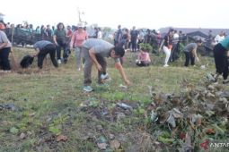 Ribuan warga bersihkan sirkuit makepung di Jembrana