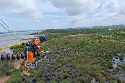 PLN beri kontribusi hingga Rp65,59 triliun pada penerimaan negara
