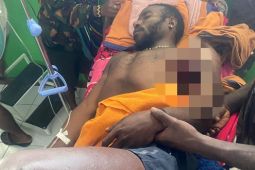 Tiga warga ditembak KKB Kalenak Murib hingga tewas di Puncak