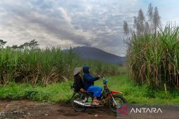 Letusan Gunung Raung 2 km di atas puncak