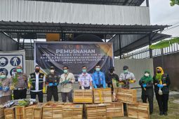 Bea Cukai Medan gagalkan penyeludupan satwa dan tumbuhan asal Thailand