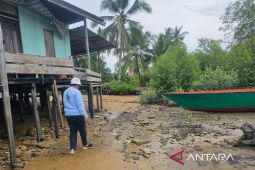 Petambak Penajam  tanam bakau untuk menjaga produksi dan lingkungan