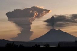PPGA: Intensitas erupsi gunung Ile Lewotolok cukup tinggi