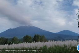 Badan Geologi: Status aktivitas Gunung Raung masih tetap waspada