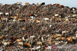 Makassar berupaya olah sampah jadi energi listrik