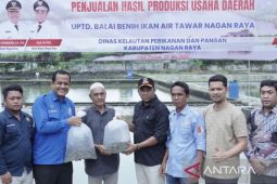 BBI Nagan Raya sudah jual 11.666 benih ikan air tawar ke masyarakat