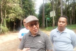 Dinas Kehutanan  Jambi petakan tiga daerah gambut rawan karhutla