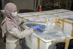 Kalsel kemarin dari Rembuk Stunting hingga ekspor ikan Betutu