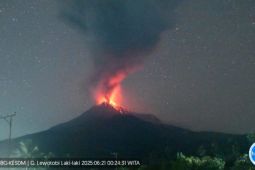 Gunung Lewotobi Laki-laki lima kali erupsi dalam dua hari terakhir
