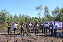 Listrik untuk Alam Penanaman 6.000 Mangrove di Kuala Satong wujud nyata komitmen lingkungan