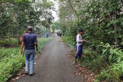 Pemkab Tabalong segera perbaiki Jalan Tampurejo-Upau