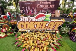 Pemkab angkat potensi cokelat Banyuwangi lewat festival