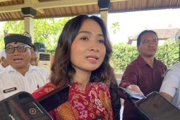 Wamenpar RI bantu kapal cepat Banyuwangi-Lovina jika dermaga siap