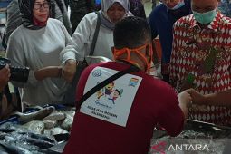 Pemkot Palembang optimalkan peran duta gemar makan ikan ajak warga tingkatkan konsumsi