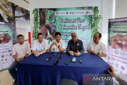 BKSDA Kalteng bersama mitra gali strategi optimalkan pemutakhiran data konservasi orang utan