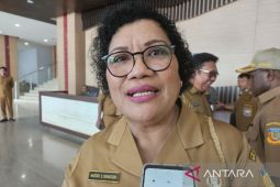 Pemprov: UMKM di Papua manfaatkan pasar modal upaya alternatif pendanaan