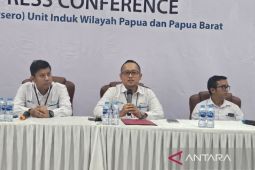 261.039 pelanggan gunakan "PLN Mobile" di Tanah Papua