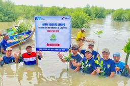 Pertamina lestarikan lingkungan KEE Gresik lewat tanam 2.000 mangrove