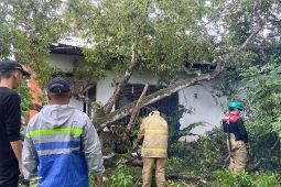 Rumah dan sekolah rusak akibat angin kencang di Aceh Besar